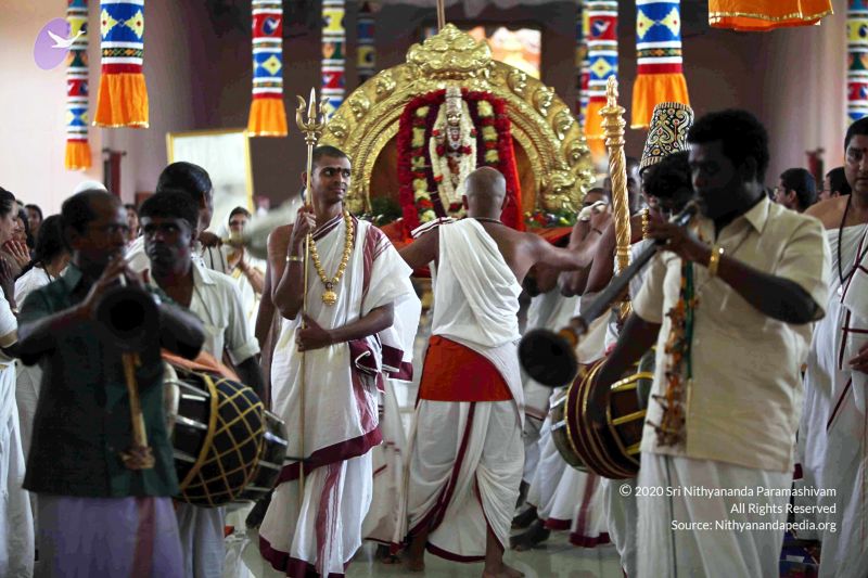 File:20101017IMG 9856 CMP WM0101010.jpg