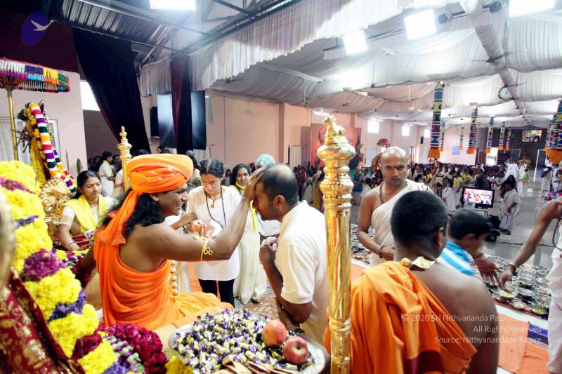 File:20101017IMG 9946 CMP WM0101010.jpg