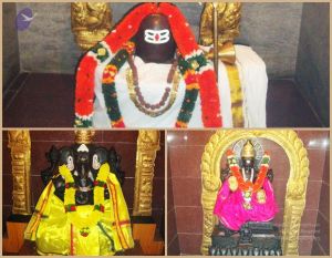 20101017 Photo 1003 1YRYXOwMRFL7E-ham0MesO9fc8Iz6yUGV.JPG