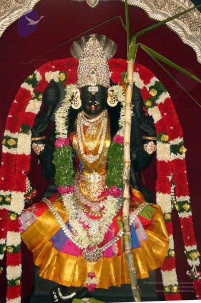 File:20101017 Photo 1011 101cr3PkRB6NJsaMI88LA2AEF6IIs3-LF.JPG