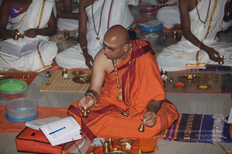 File:20101023 Photo 1066 1jcIKnXo0mR-RsJmACmxOGV2PGzt 9715.JPG