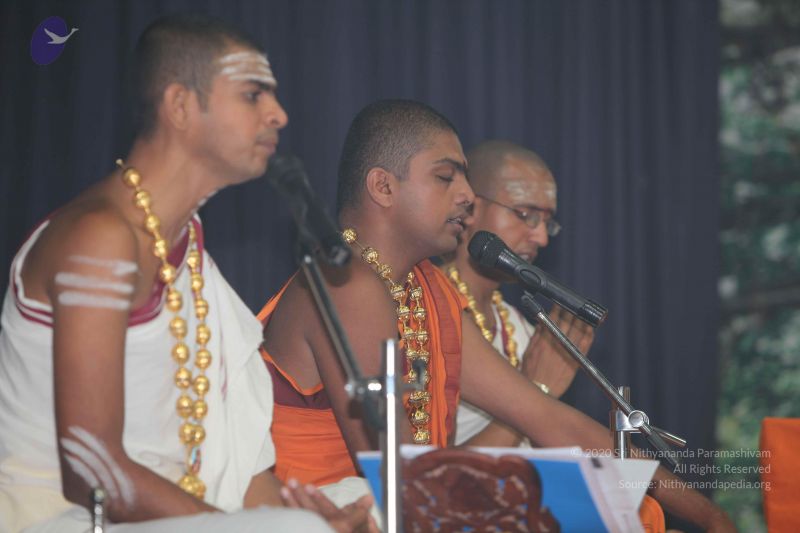 File:20101023 Photo 1087 1tIrLcvFFhHmaYek6s431GZXUpAHItcb8.JPG