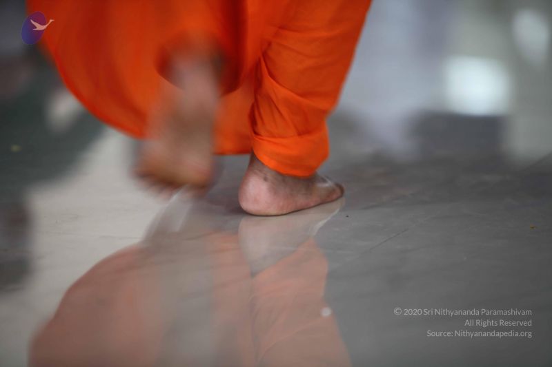 File:20101023 Photo 1300 17yxDojSGQxFTs2fMoQozT7eSrrzwCWEd.JPG