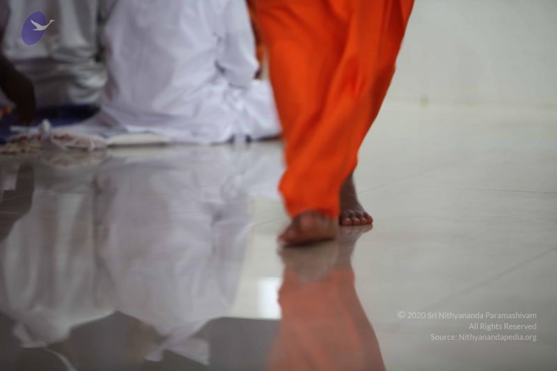 File:20101023 Photo 1302 1mOYx4sykJk9Pm-xzXswECS -dMZRgJ8L.JPG