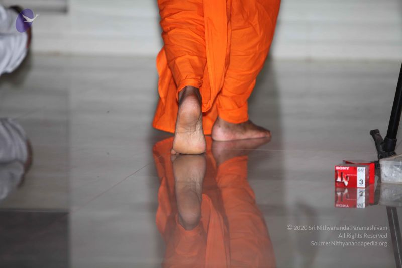 File:20101023 Photo 1494 1CF5yP3v5Vx558jW0a0unGySfCVhKVQXb.JPG