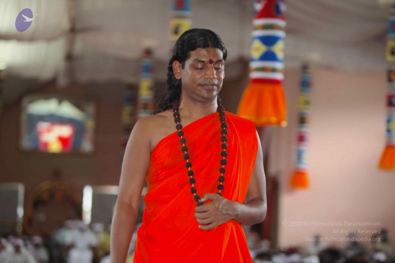 File:20101023 Photo 1605 1PdbL9gYEYTg8dWjAQj6sUQnZmmqExr8j.JPG