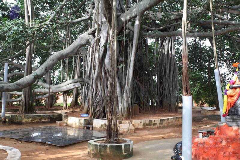 File:20101024 Photo 1062 14vvXl2qIjfNoXpmkGSP hQ3GXg0Dz2cq.JPG