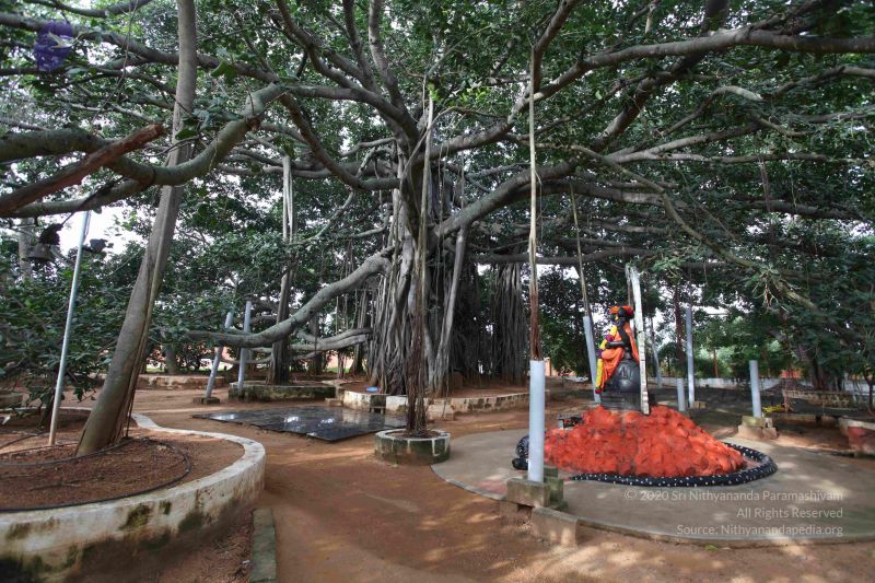 File:20101024 Photo 1064 1xzGg9TdTUE70VtnnOFXvq1ygL51ze55D.JPG