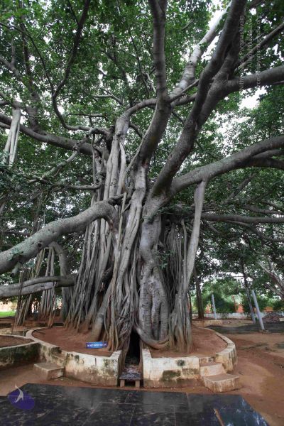 File:20101024 Photo 1066 1LLGAIowePZliez8JYlvbdpZf0GbdWpaN.JPG