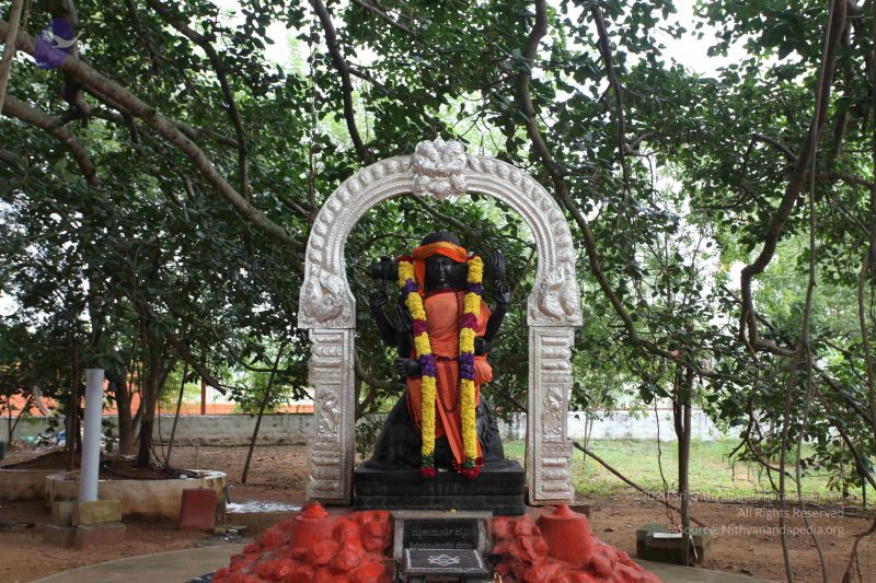 File:20101024 Photo 1070 1IYCgZOiMa4pHHh G1oU9e0MWVvbCYVj5.JPG