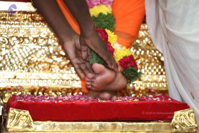 20101024 Photo 1623 1iF5bhx3Qqtw9MuMDOIJTecSZJ5Qk0awn.JPG