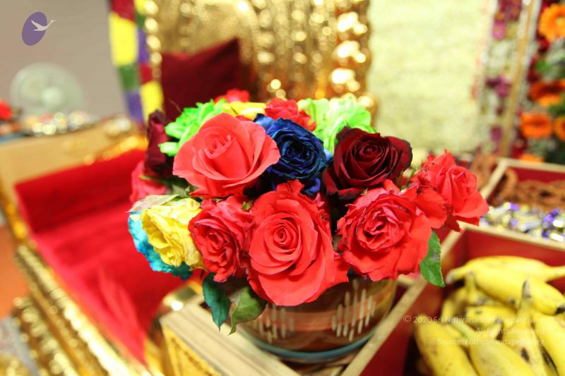 File:20101025 Photo 1038 1SvpA637apYMHaemGxR1fohk4LtHTkHh6.JPG