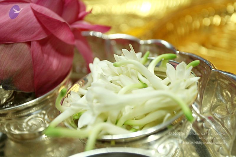 File:20101025 Photo 1045 1NJ3sHxMkSog-mlip3a2vmjb32ifZ3pS8.JPG