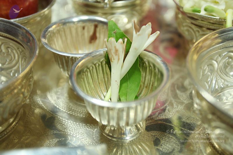 File:20101025 Photo 1046 1I gd1H3Pk-MkRmtIKaJl6uBR8CphPgFQ.JPG