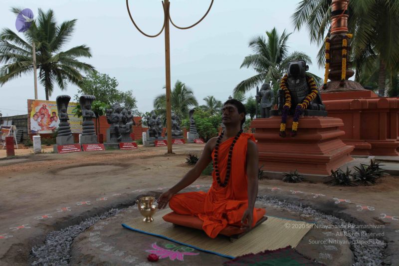 File:20101027 Photo 1019 1sx6wGykPzNAcZHpSd8IRW4ptfF57UG-e.JPG