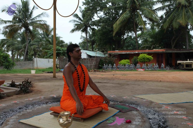 File:20101027 Photo 1033 1fzzNrXUKcdY90eT05jiDko9Vp-v4iUsA.JPG