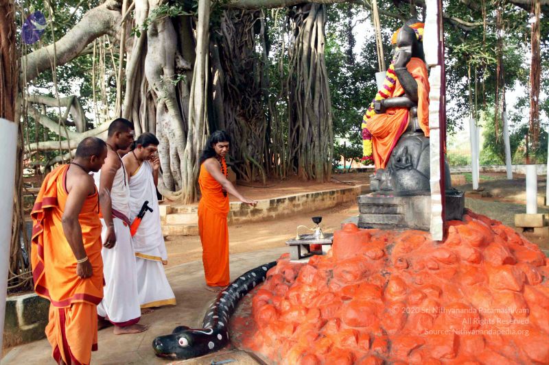 File:20101028 IMG 7159 CMP WM111.jpg