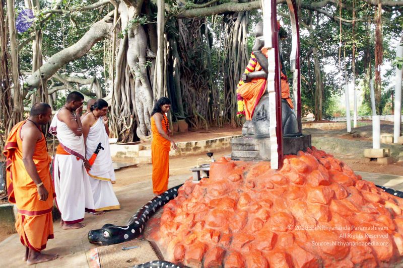 File:20101028 IMG 7160 CMP WM111.jpg