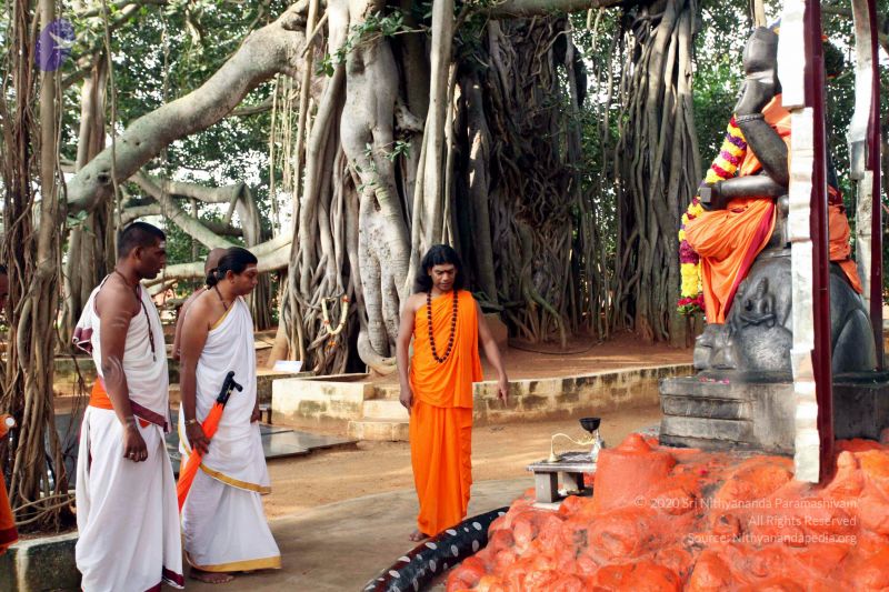 File:20101028 IMG 7163 CMP WM111.jpg