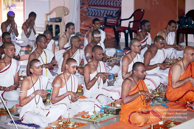 20101028 IMG 7247 CMP WM111.jpg