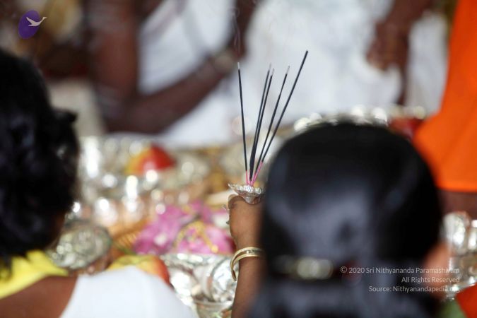 20101028 IMG 7288 CMP WM111.jpg