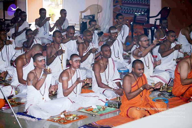 20101028 IMG 7295 CMP WM111.jpg