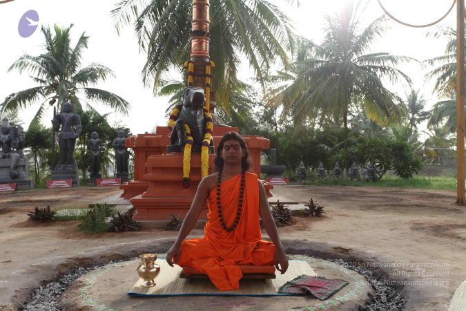 20101028 Photo 1021 10PtHo7lM-eb0tlgNSunQFsAnpzAYMWlN.JPG