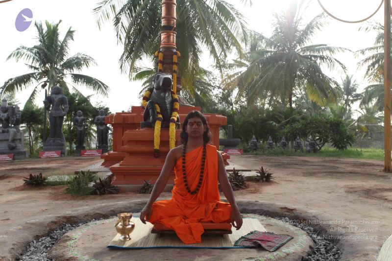 File:20101028 Photo 1021 10PtHo7lM-eb0tlgNSunQFsAnpzAYMWlN.JPG