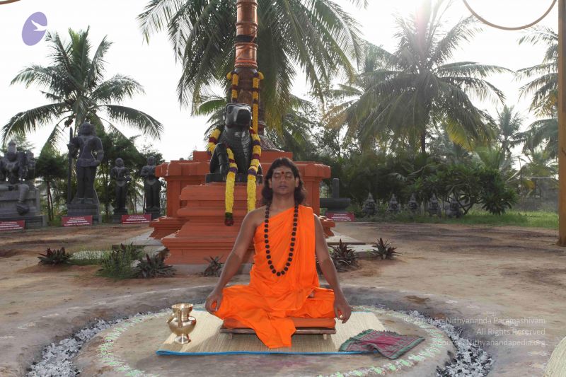 File:20101028 Photo 1024 116kuOO MRdh3KczJGaZvs5PqztchMEu0.JPG