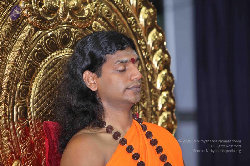 File:20101028 Photo 1038 1-0vjo5ymTw8h5eJNS 8tu74FExS5J01p.JPG