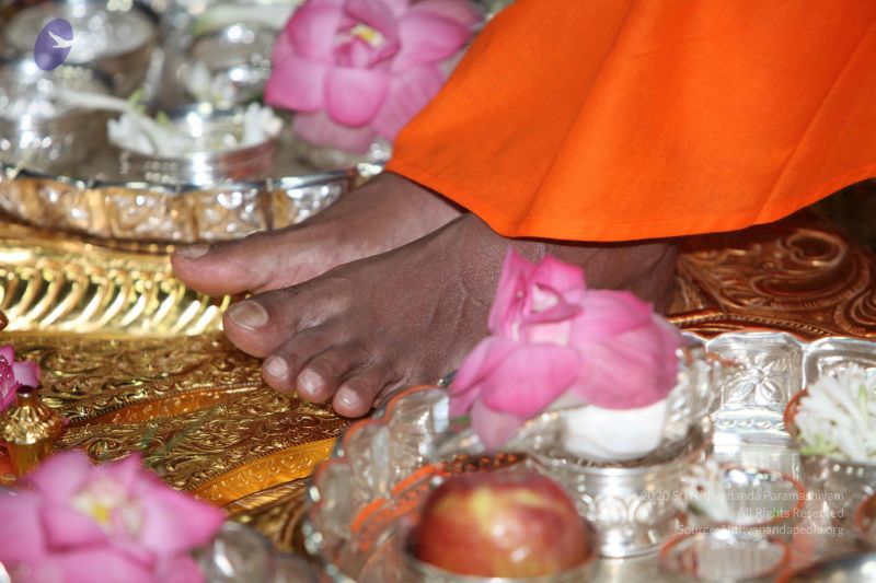 File:20101028 Photo 1052 11XFSzpepMxJKT5UbWgX jOYXbUYM97X8.JPG