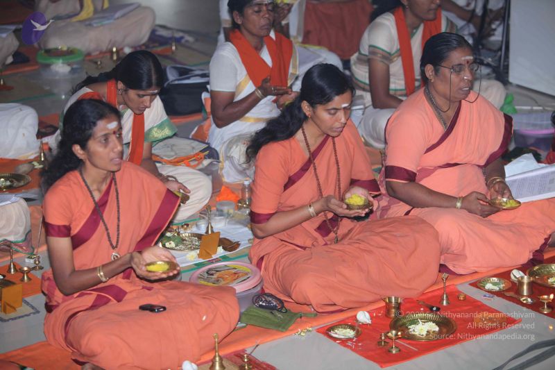 File:20101028 Photo 1076 1dojy7EJLXrrraBB -PYR6tYiLErJAZVl.JPG