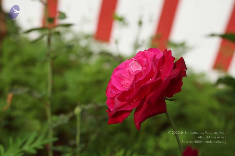 File:20101028 Photo 1116 1NNg8Pq7dfDJVW2iog56dF3-exIfXhKr6.JPG