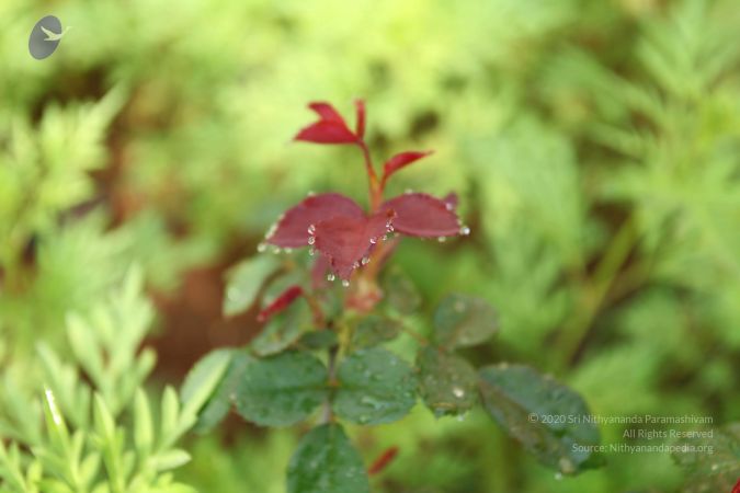 20101028 Photo 1119 1G5l2c dFy5DFRqsDYJY-r3mT0N8DDYq4.JPG