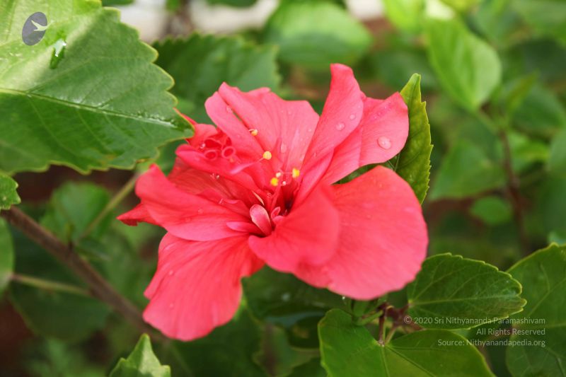 File:20101028 Photo 1122 1lLp5Z4C4SBhkI6-SB5a4q7inZQpNpG2b.JPG