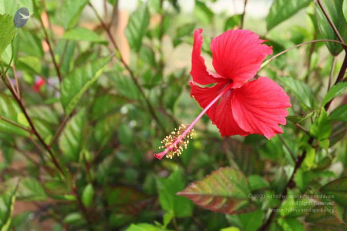 20101028 Photo 1125 1qh5yBO1ZLc8d-QBQZ2oruwQ29RNZr3lw.JPG