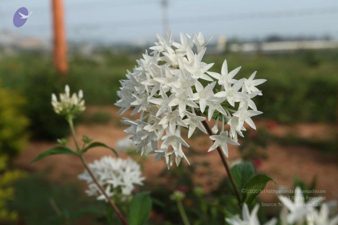 20101028 Photo 1129 1qfljg8s3E1Q-6fkTwWrQHn-4ocNEMSPm.JPG