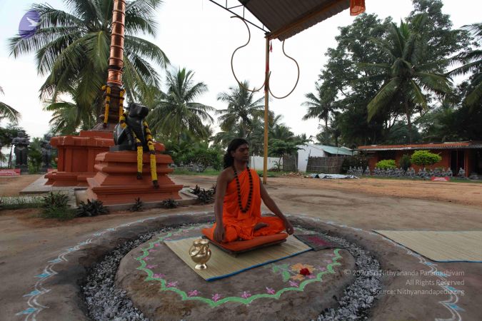 20101029 Photo 1011 1j6Y-LYrtMTFsmhPb5zygfl 1LFEh-3We.JPG