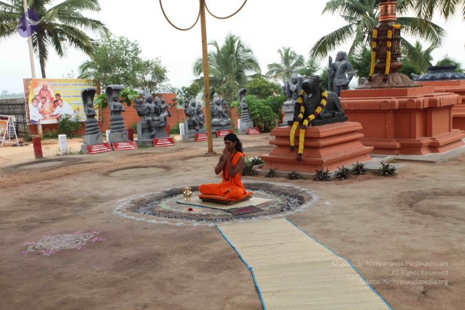 20101029 Photo 1029 1B5x7CsJTaOMQaJmJIoUAOP DNos17Esd.JPG