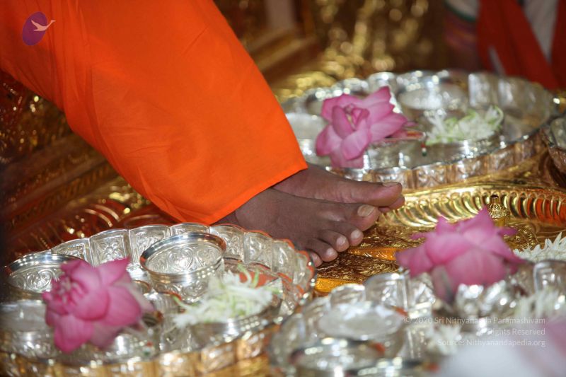 File:20101029 Photo 1059 1Bi 1I S263eAN4g3-SMx1t6tsUTnJoju.JPG