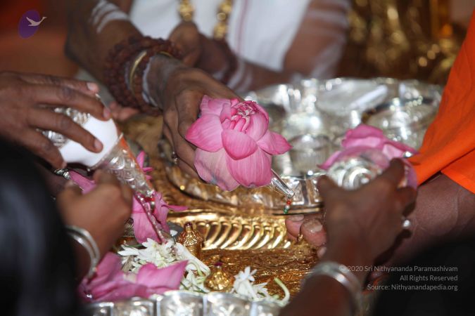 20101029 Photo 1073 1lpcGw Vf3Q8yQ7iULL7543llKxdVMbdv.JPG