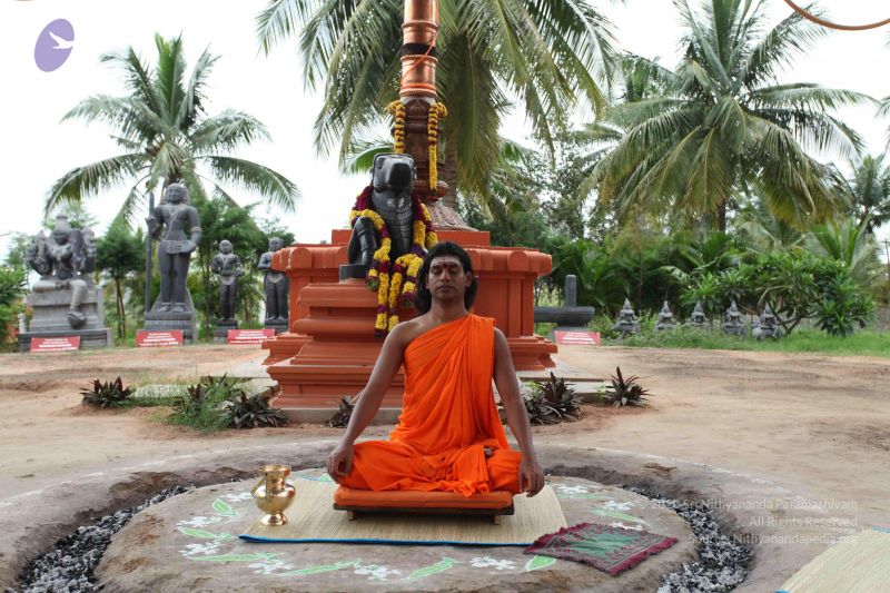 File:20101031 Photo 1014 1hlJSZuHlU9GGKY yx1khY-moIYQRls N.JPG