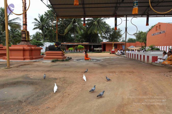 20101031 Photo 1023 1YW63sOtXFl0L3Ut9LfZHazHgr5r1Z4zp.JPG