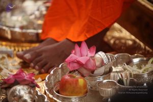 20101031 Photo 1079 1I-YpzZVIrkIV78my1O6FJrUDnW -N0Ha.JPG