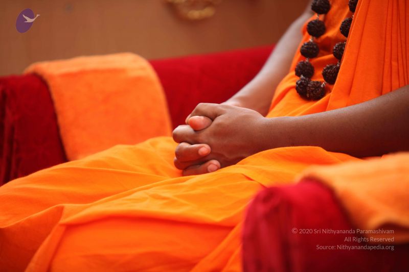 File:20101031 Photo 1082 1PtT9orWvzeFcJZJpuuhRAm1s-I-nBX-z.JPG