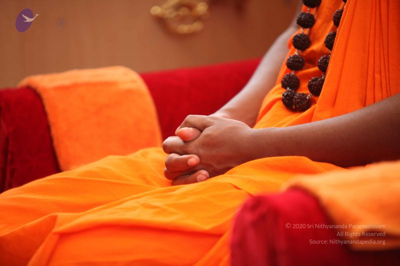 File:20101031 Photo 1085 1AmaS xjpla6hHkpfbDw7FxcSugGIgFNr.JPG