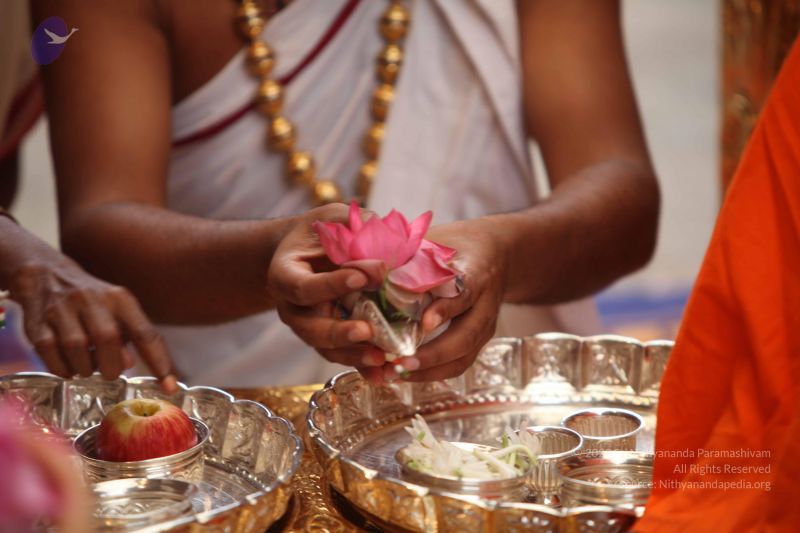 File:20101031 Photo 1097 1OFwDheR-FyBw0I3Rm9zbkeISRzUdOXED.JPG