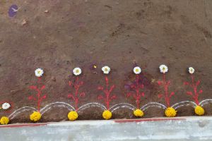 20101102 Photo 1010 1fQplPiq2vfKmEJUElRc1f6AQbFkDvA9y.JPG