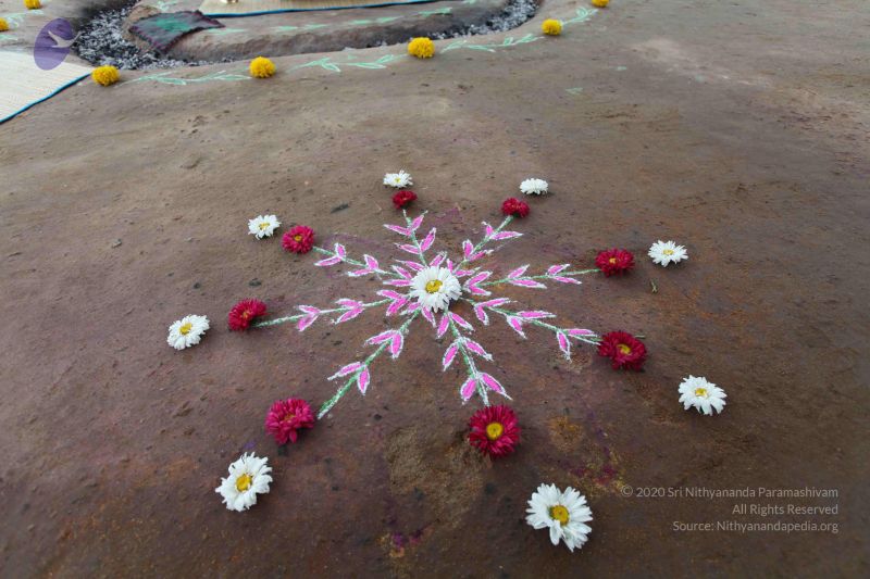 File:20101102 Photo 1017 1Hm2V9l65zlVa0TCYsoD UjCpeVSEPN8B.JPG