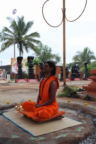 File:20101102 Photo 1030 1TY7aZUashnRSHMBFzoqs3MOBxKOUrxZX.JPG